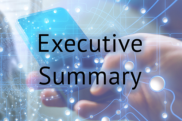 Executive Summary